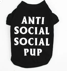 ANTI SOCIAL PUP