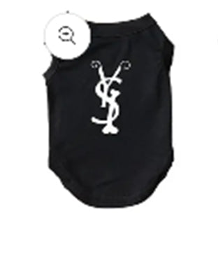 Catch me at the Park (YSL)