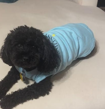 Catch me at the Park (SNIFFIANY)