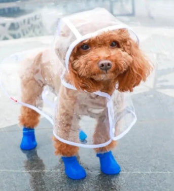 Raincoat