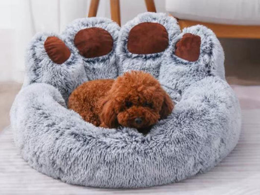 Paw Down
