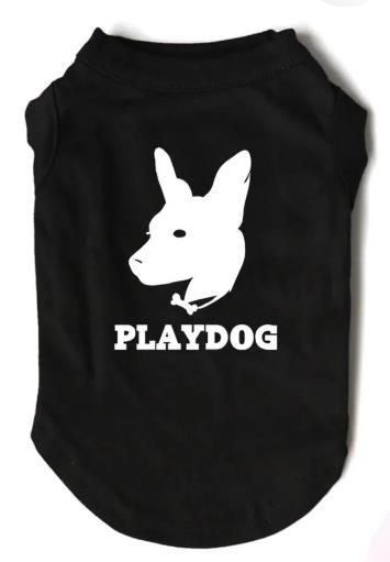 The Play Dog